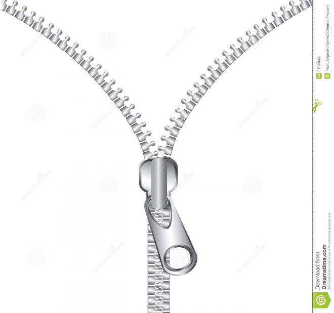 Zip Net Worth