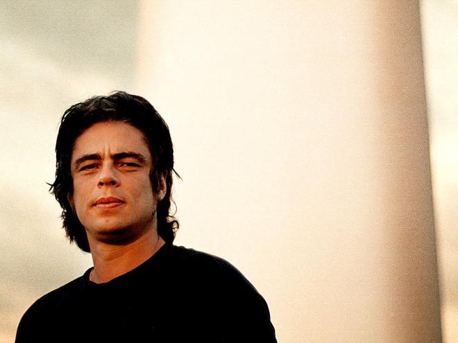 Rafael Del Toro Net Worth