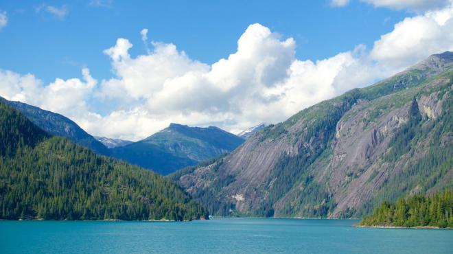 Alaska Net Worth