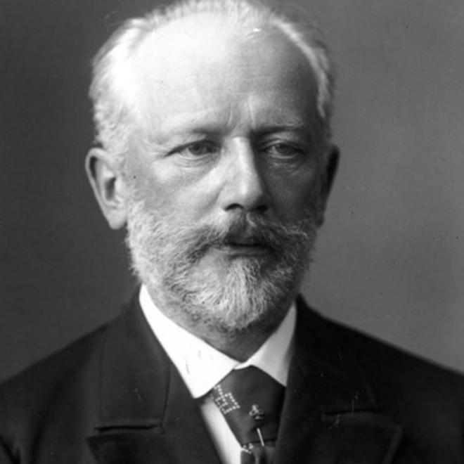 Pyotr Ilyich Tchaikovsky Net Worth