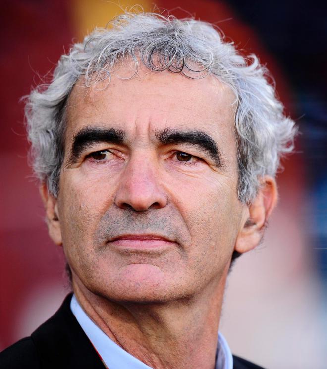 Raymond Domenech Net Worth