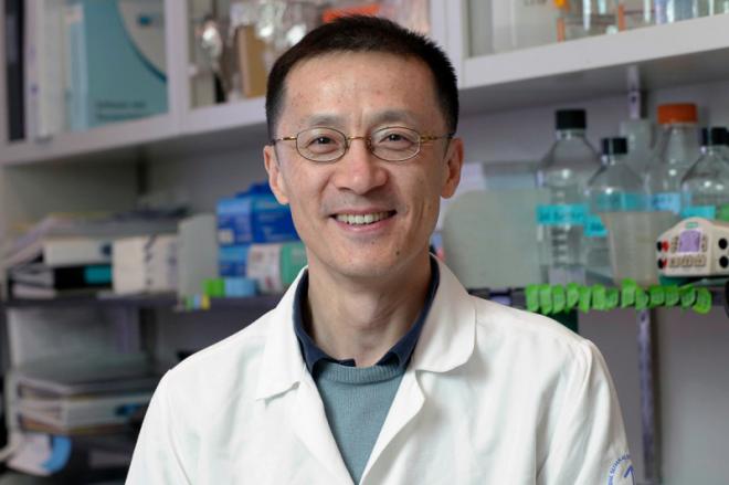 Weiyi Wang Net Worth 2024 Wiki Bio, Married, Dating, Family, Height