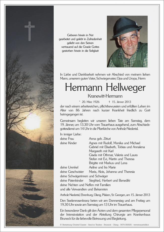 Hermann Hellweger Net Worth