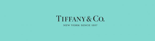 Tiffany Net Worth