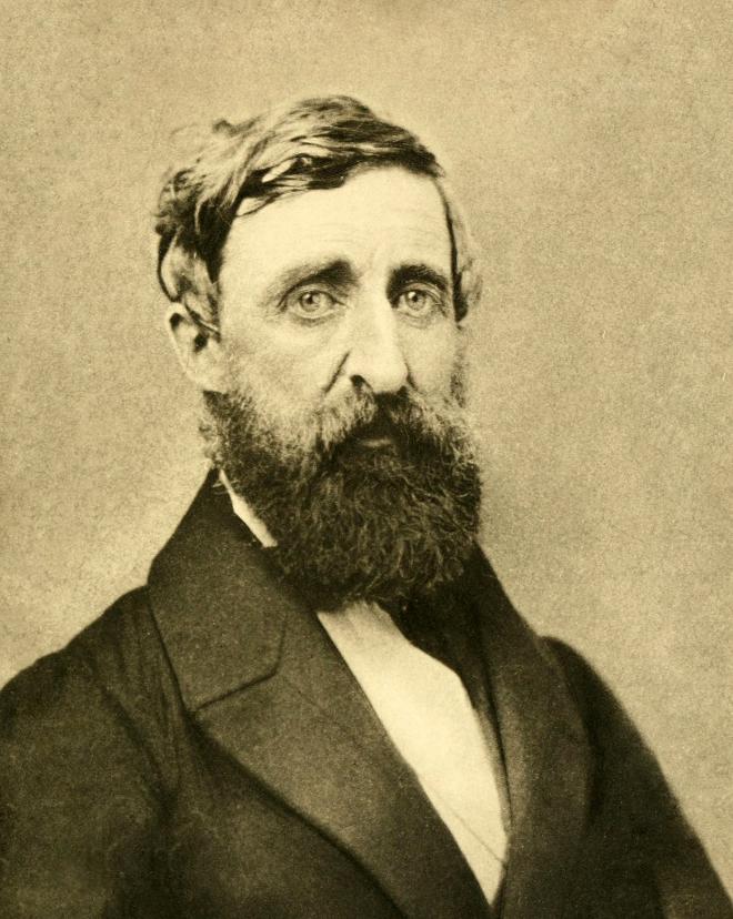 Henry David Thoreau Net Worth
