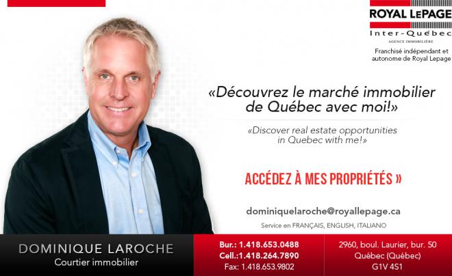 Dominique Laroche Net Worth