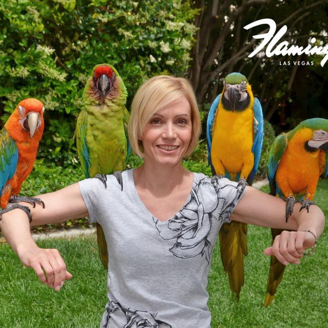 Traci Sharp Net Worth 2023 Wiki Bio, Married, Dating, Family, Height