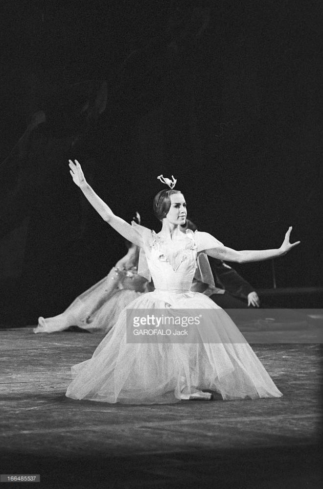 Piotr van Dijk Net Worth 2023: Wiki Bio, Married, Dating, Family