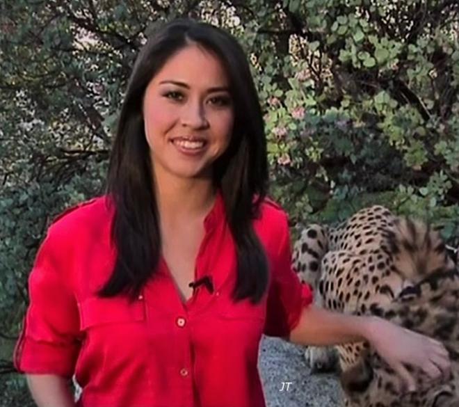 Michelle Macaluso Net Worth 2024: Wiki Bio, Married, Dating, Family ...