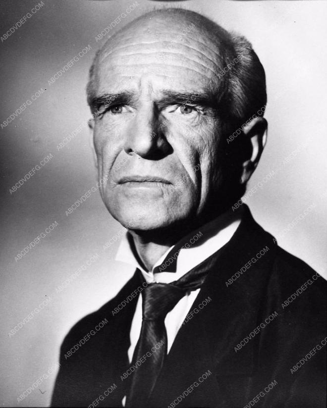 Jan Wolfe Net Worth 2024 Wiki Bio, Married, Dating, Family, Height