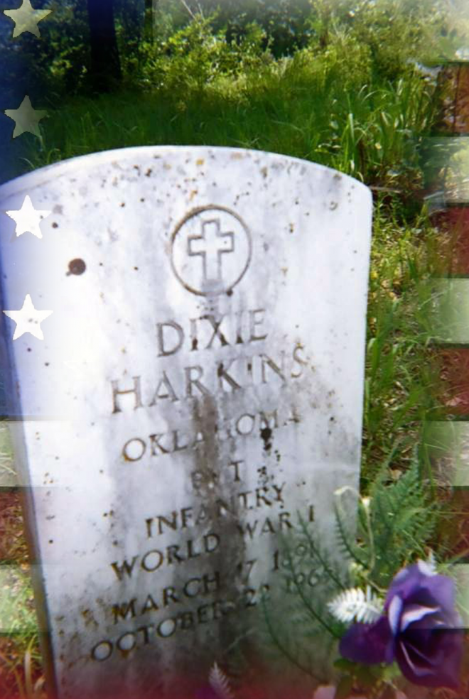 Dixie Harkins Net Worth