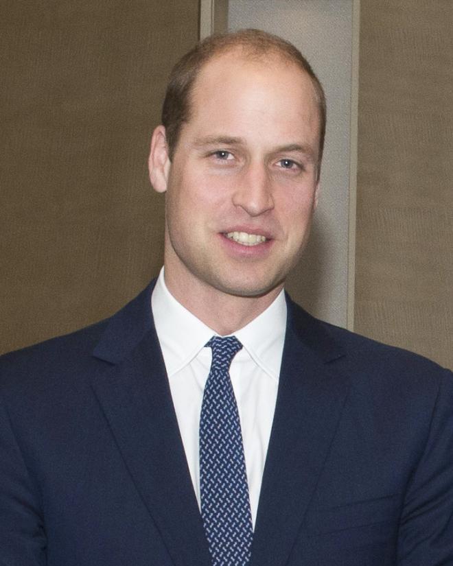 Prince William Windsor Net Worth 2024 Wiki Bio, Married, Dating, Family, Height, Age, Ethnicity