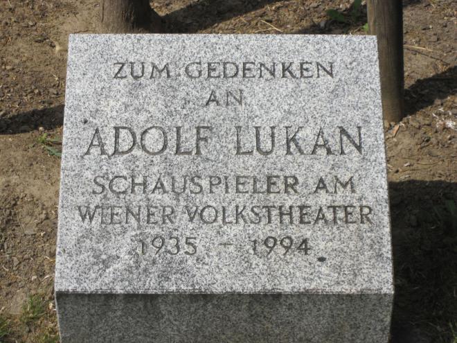 Adolf Lukan Net Worth