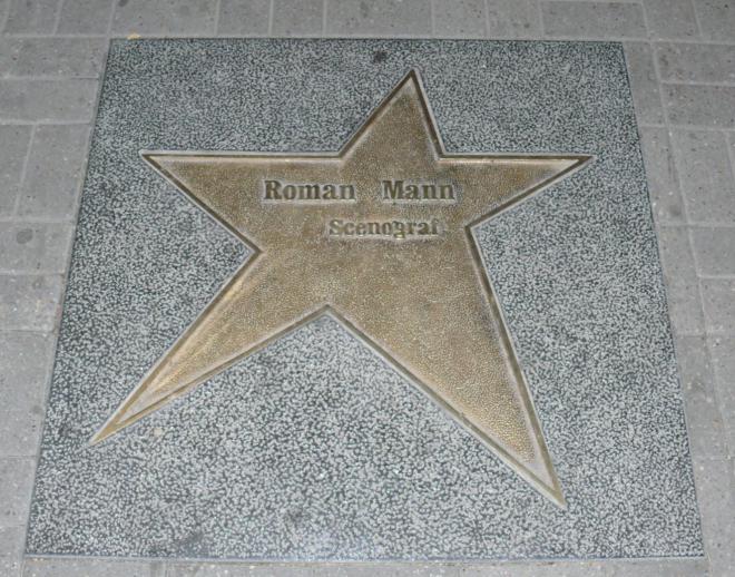 Roman Mann Net Worth