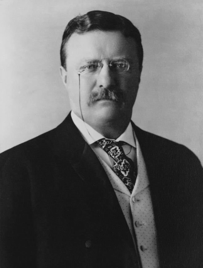 Theodore Roosevelt Net Worth