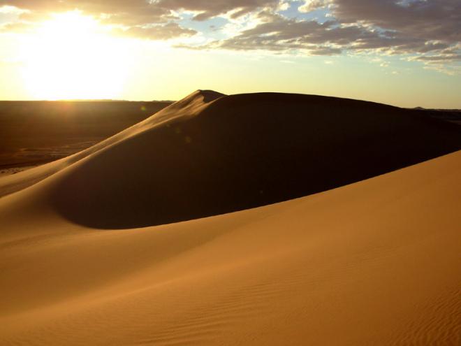 Sahara Sands Net Worth