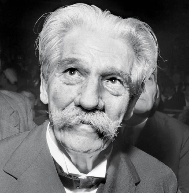 Albert Schweitzer Net Worth