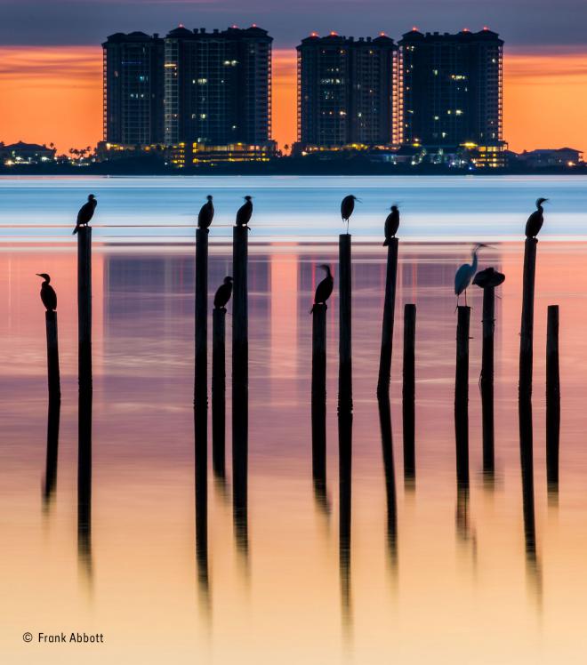 Frank Abbott Net Worth 2024 Wiki Bio, Married, Dating, Family, Height