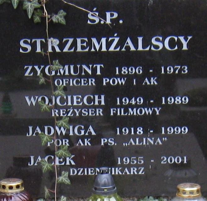 Wojciech Strzemzalski Net Worth