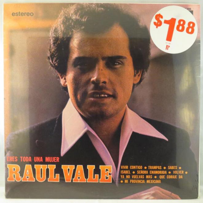 Raúl Vale Net Worth